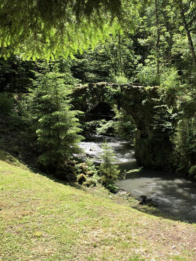 Le Moulin Des Olirics Villa Sallanches Luaran gambar