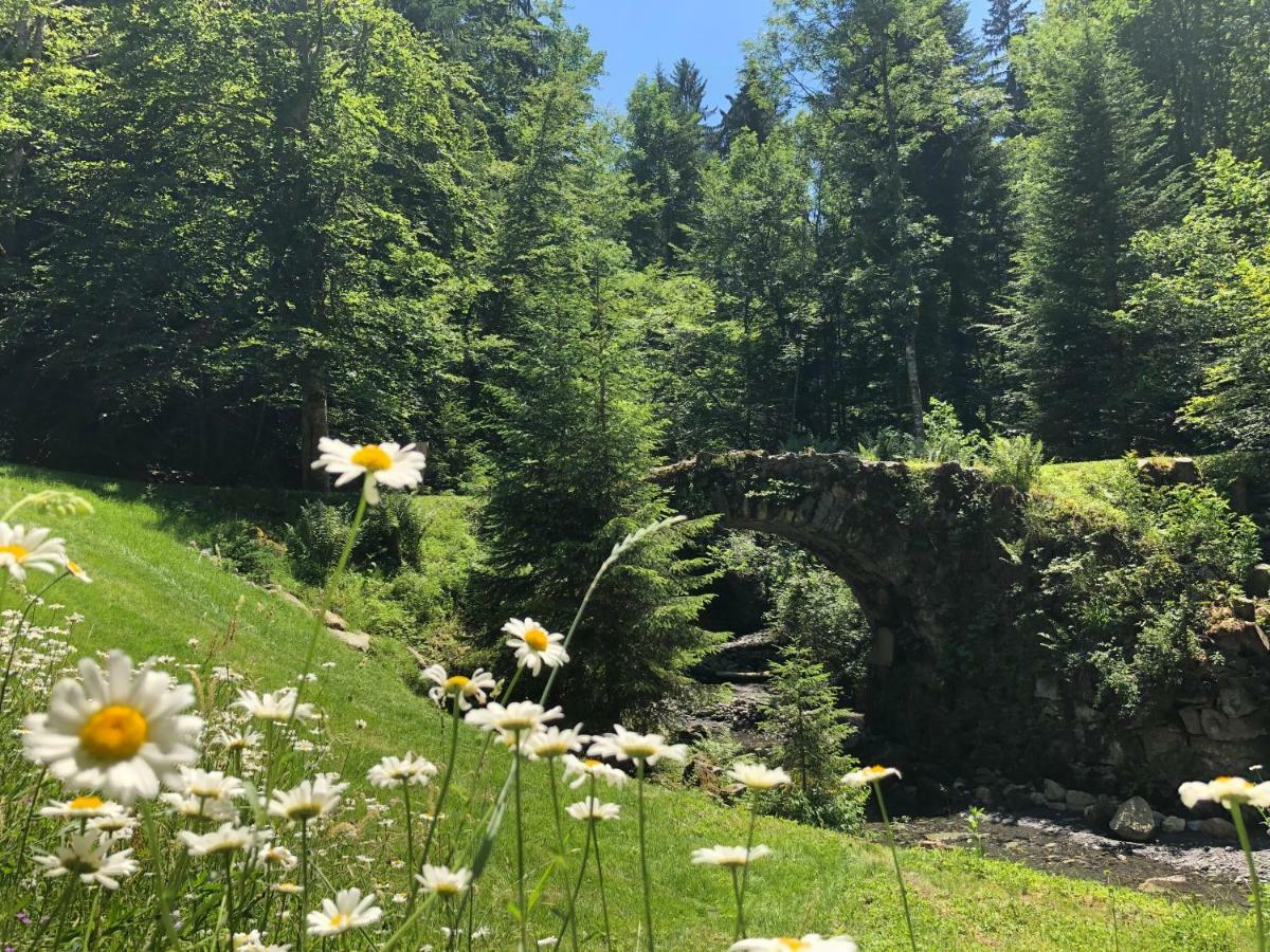 Le Moulin Des Olirics Villa Sallanches Luaran gambar